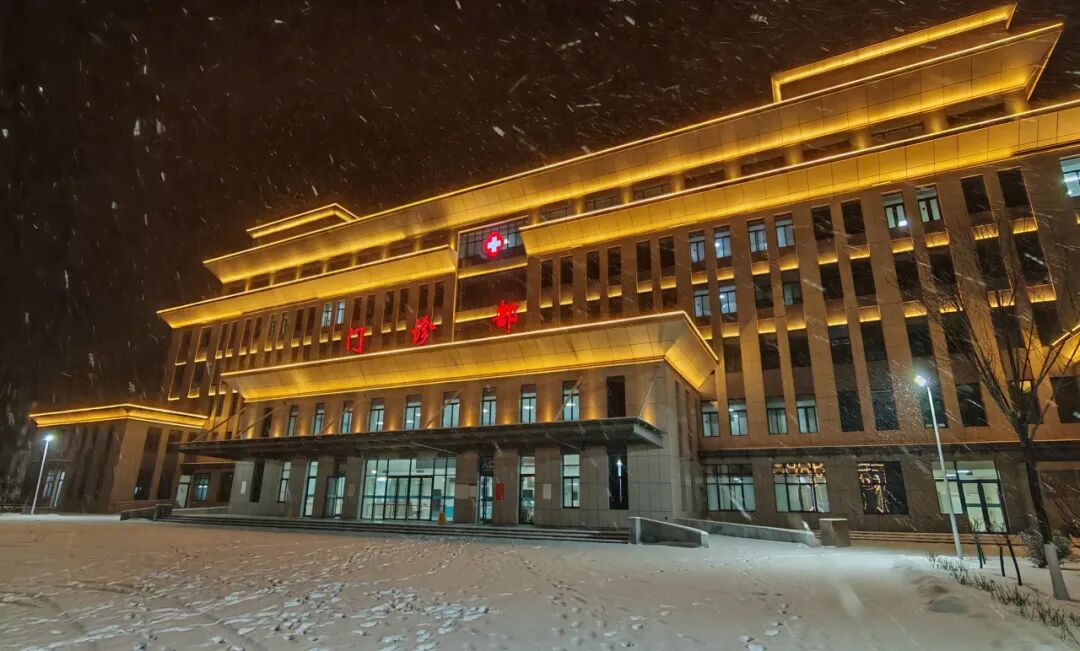 景美人亦美 | 雪落八院.JPG