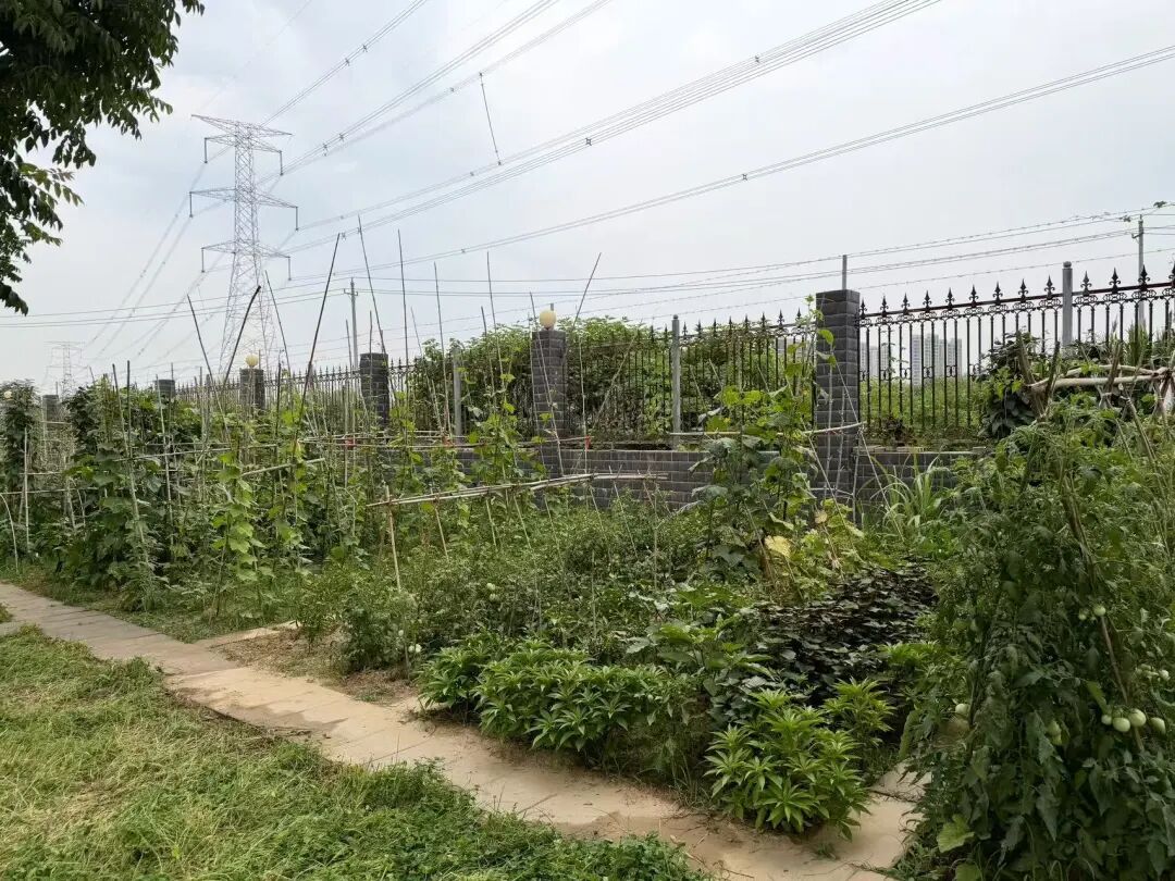 640 (16).jpeg 640 (16).jpeg