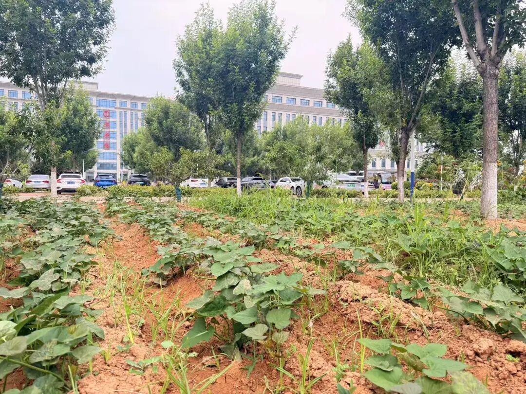 640 (7).jpeg 640 (7).jpeg
